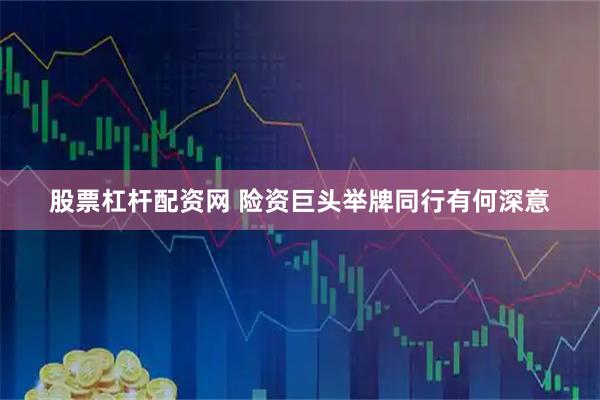 股票杠杆配资网 险资巨头举牌同行有何深意