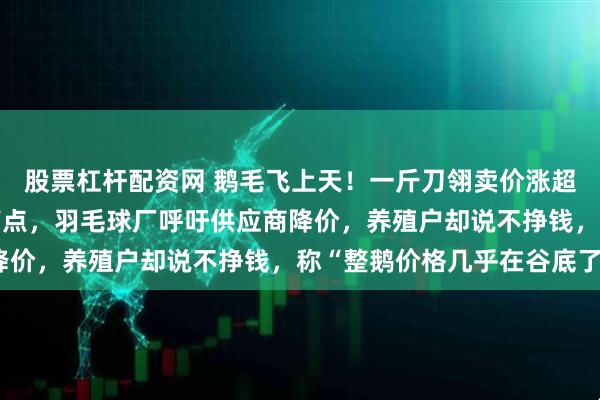 股票杠杆配资网 鹅毛飞上天！一斤刀翎卖价涨超400元，站上历史最高点，羽毛球厂呼吁供应商降价，养殖户却说不挣钱，称“整鹅价格几乎在谷底了”