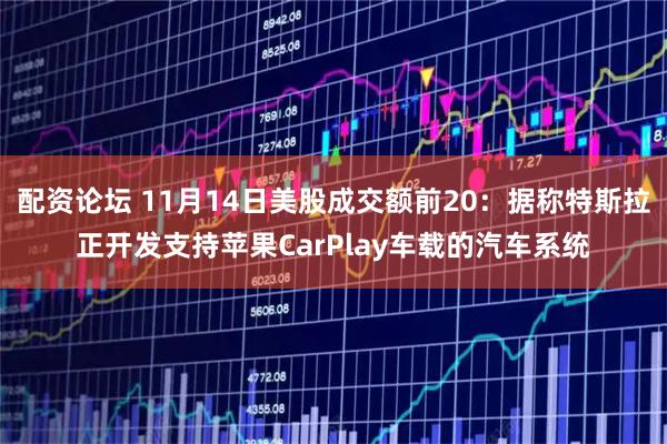 配资论坛 11月14日美股成交额前20：据称特斯拉正开发支持苹果CarPlay车载的汽车系统
