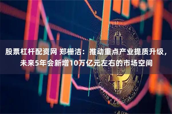 股票杠杆配资网 郑栅洁：推动重点产业提质升级，未来5年会新增10万亿元左右的市场空间