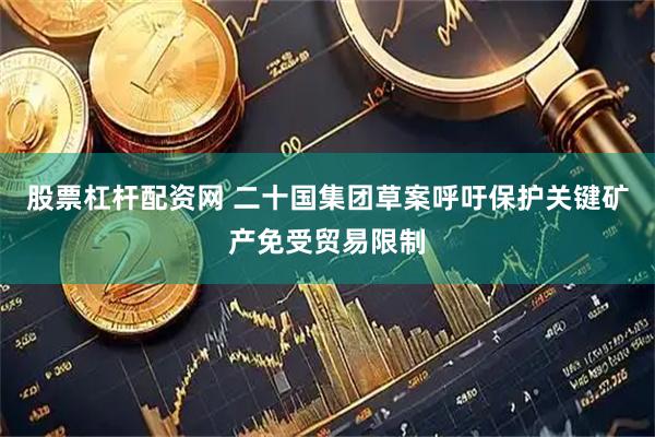 股票杠杆配资网 二十国集团草案呼吁保护关键矿产免受贸易限制