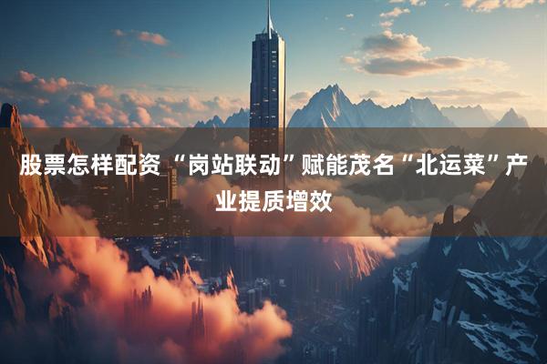 股票怎样配资 “岗站联动”赋能茂名“北运菜”产业提质增效