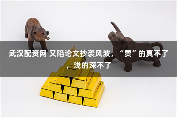 武汉配资网 又陷论文抄袭风波，“贾”的真不了，浅的深不了